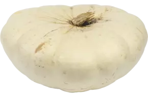 Pompoen Snow White (1,5 tot 2 kilo)